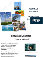 14 Recursos Naturais Exploracao 81076 98015