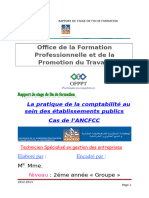 Pratique de La Comptabilite