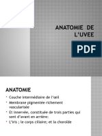 4 - Anatomie de L'uvee