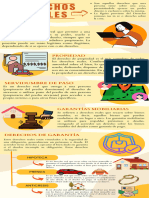 Infografía Derechos Reales