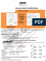 Xii CH 6 Molecular Basis of Inheritance Hsslive