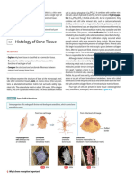 Tortora Principles of Anatomy and Physiology