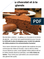 Gâteau Au Chocolat Et À La Farine de Glands - Plantes Sauvages Comestibles