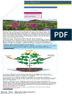 Biology Savvas Plants 22.1