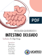 INTESTINO DELGADO Grupo 3