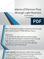 Light and Dark Reaction - 1