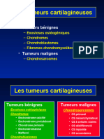 H 07 Osteochondromes