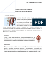 Actividad #1 Anatomia