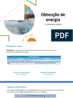 BIO10 - PPT - D4 - 1. Obtenção de Energia