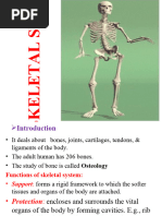 Skeletal System