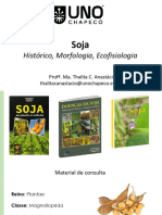 Aula 4 Soja Introducao Mercado Morfologia 2023