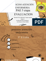 Proceso Atención Enfermeria: PAE 5 Etapa Evaluacion