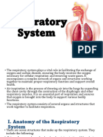 Respiratory System