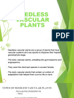 Seedless Vascular Plants 1