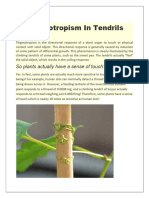 Thigmotropism in Tendrils: So Plants Actually Have A Sense of Touch?