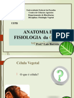 Aula 1 - Celula Vegetal