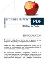 Lesiones Elementales de La Piel