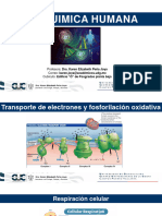 Unidad 3.3 Metabolismo Aerobico - Trasnsporte Electrónico y Fosforilación Oxidativa