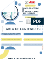 Funciones Motoras de La Médula Espinal Los Reflejos Medulares - Fisiología Ii