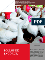 Pollos de Engorde