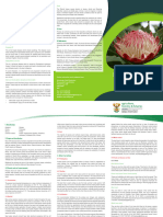 Protea Brochure