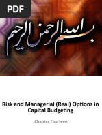 6-Risk and Managerial (Real) Options in Capital Budgeting-Chapter Fourteen