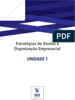 Guia de Estudos Da Unidade 1 - Estratégias de Gestão e Organização Empresarial