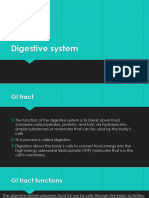 Digestive System