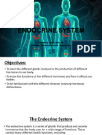 Endocrine System PDF