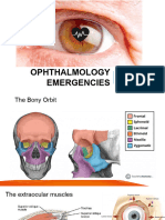 Ophthalmology Emergencies