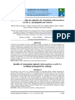 6504-Texto Do Artigo-24136-1-10-20230730