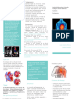 Triptico Del Prolapso de La Valvula Mitral