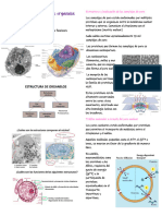 Materia Solemne II Biología Pte 1