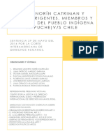 Trabajo Caso Norín Catriman VS Otros Derecho Internacional