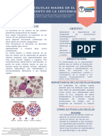 Células Madre Infografía