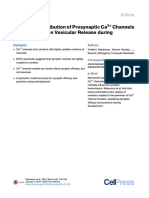 Nanoscale Distribution of Presynaptic Ca Channels and Its Impact On Vesicular Release During Development