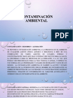 Contaminación Ambiental