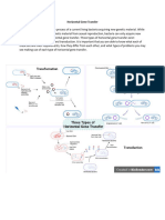 Horizontal Gene Transfer Activity Guide