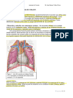 1anatomia de Corazon.