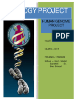 Phy Project File-1