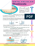 Infografia Metodo Cientifico Ciencias Ilustrado Colores Pastel