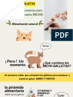 Presentación Alimentación para Gatos