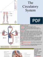 Circulatory System