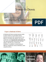 Seminario Tema Síndrome de Down 3