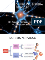 Introduccion Neurofisiologia