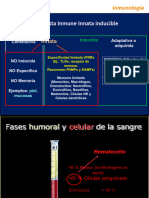 3a Clase Celulas y Hematopoyesis