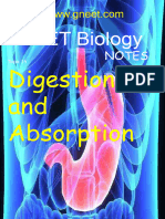 Digestion and Absorption