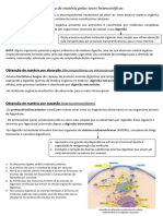 Obtenção de Matéria Pelos Seres Heterotróficos