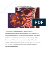Echerichia Coli Trabajo Mejorado