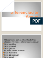 7-Diferenciacion Sexual